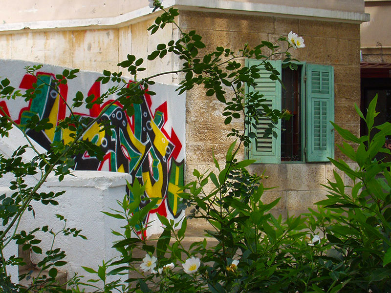 Organizirano stanovanje u Centru Ruža Petrović